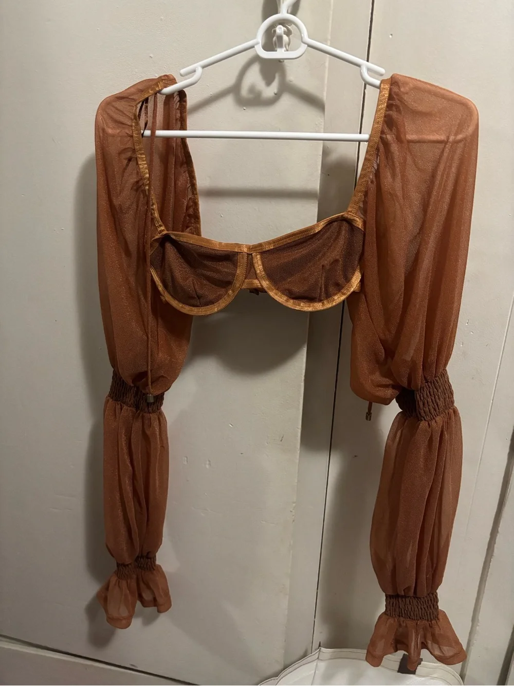 Sheer Rust Mesh Long Sleeve Crop Bralette - Women Intimates